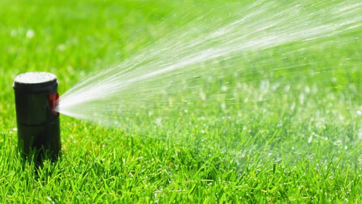 nawadnianie trawnika