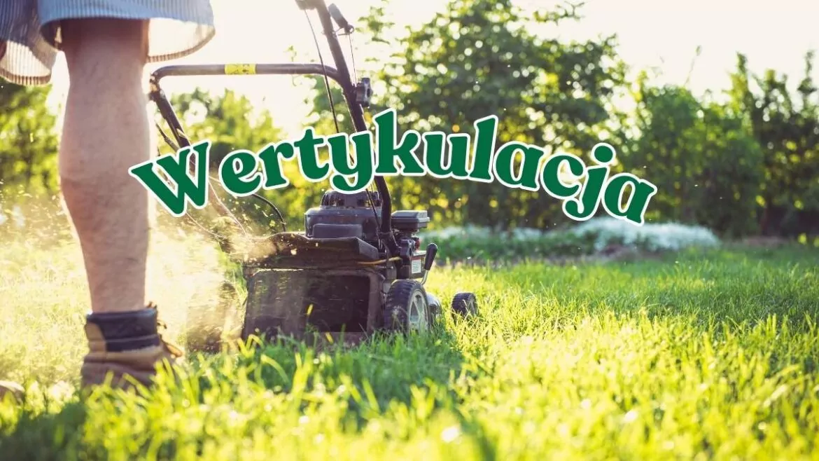 wertykulacja