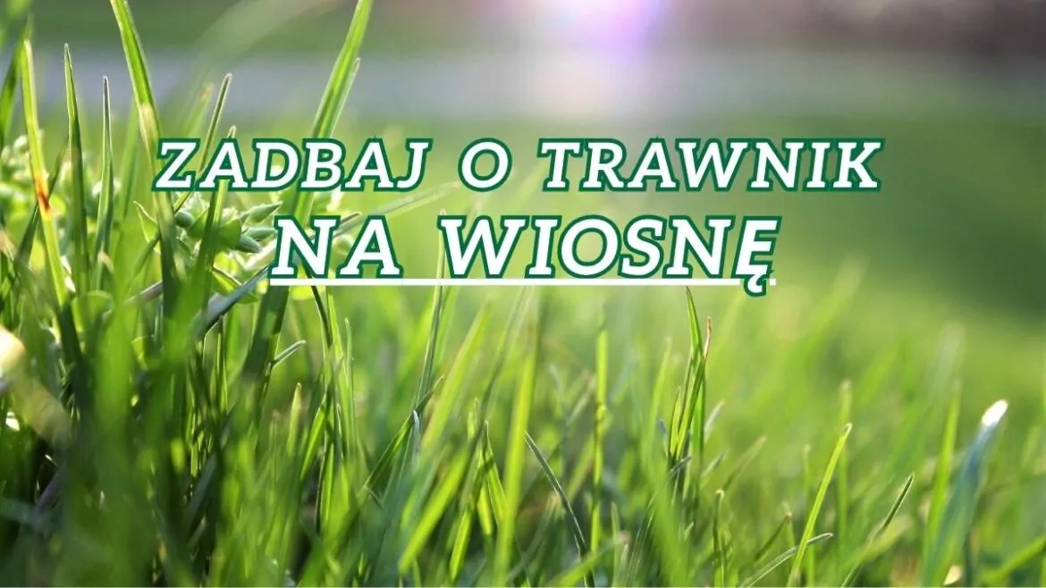 Jak dbać o trawnik na wiosnę
