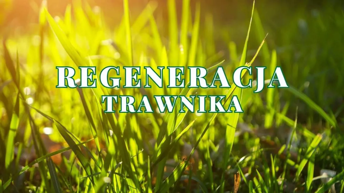 Jak naprawić uszkodzony trawnik