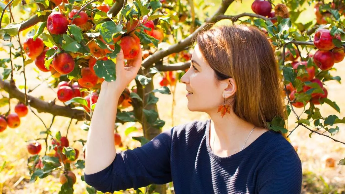 Drzewa owocowe do małego ogrodu