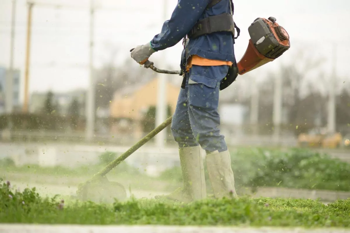 Ranking kos spalinowych 2025 – porównanie i wybór kosy spalinowej