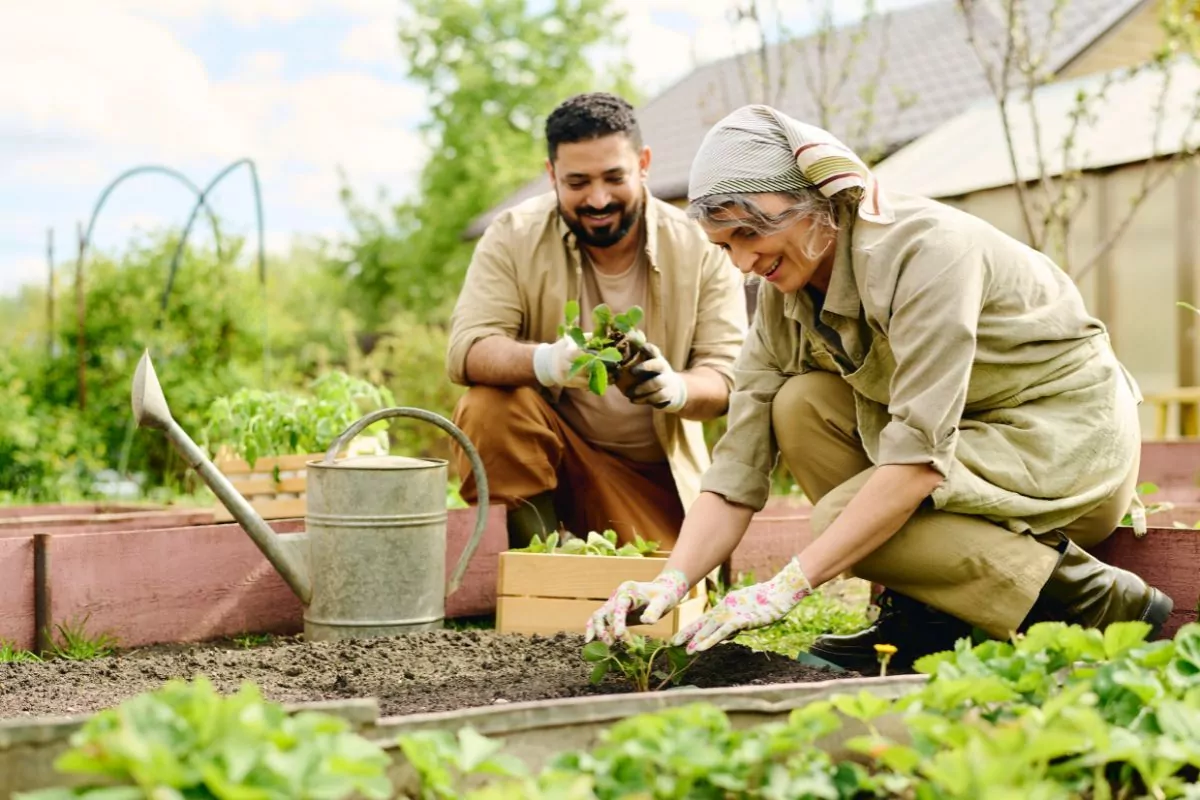 Jak pobierać i ukorzeniać sadzonki roślin w praktyce poradnika
