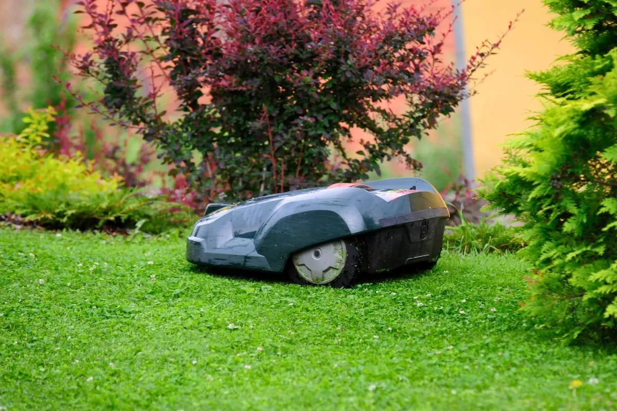 Robot koszący trawnik automatycznie, najlepszy wybór do trawnika