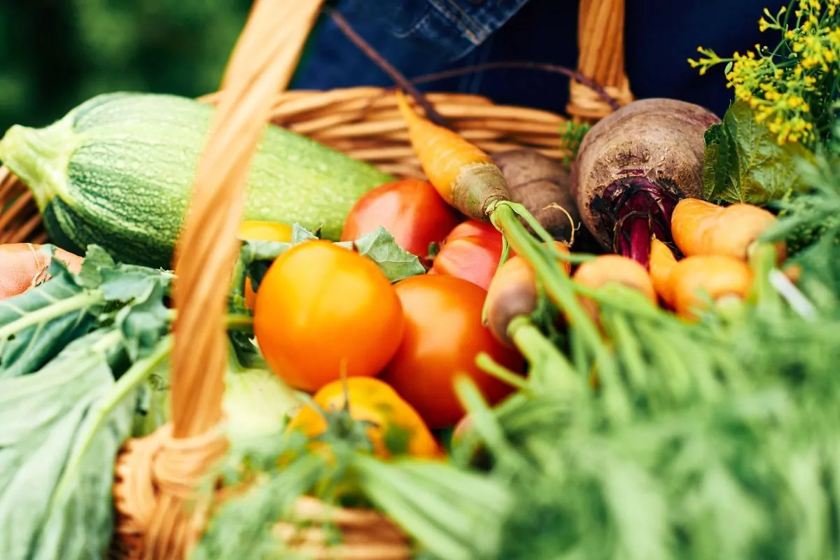Jakie warzywa sadzić obok siebie na grządkach dla zdrowych i obfitych plonów