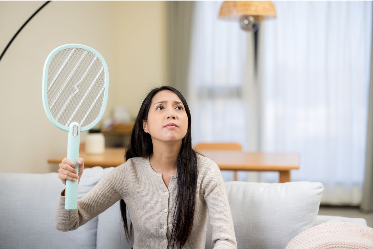 Rośliny odstraszające komary w ogrodzie i na balkonie skutecznie odstraszają owady