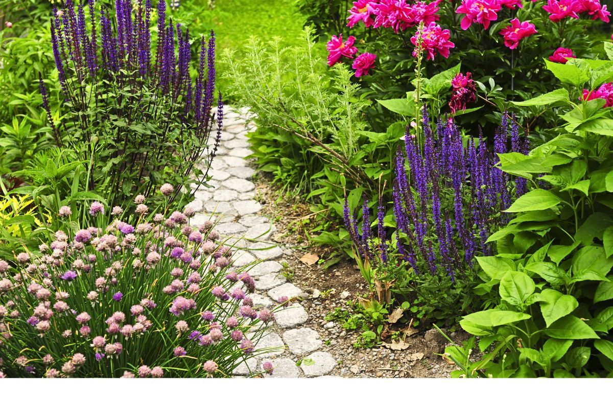 Ścieżki żwirowe w ogrodzie porady wykonanie i pielęgnacja krok po kroku