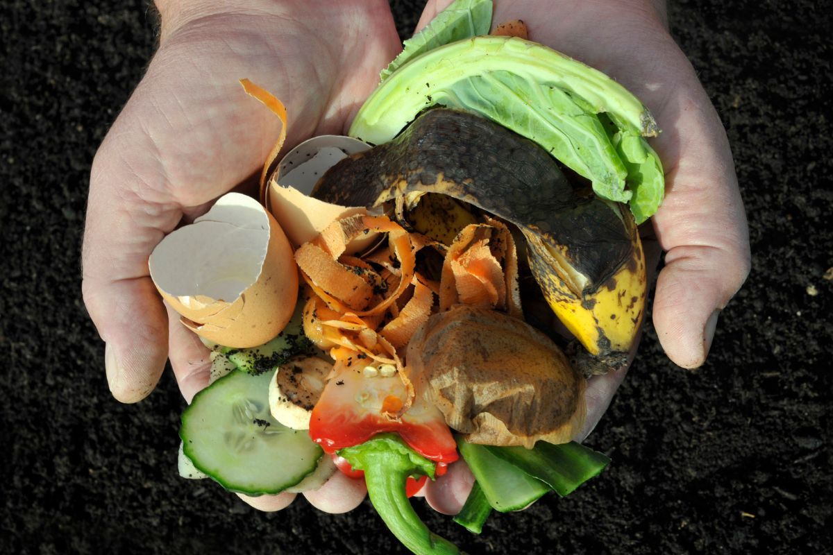 przyspieszenie kompostowania skuteczne sposoby na szybki kompost