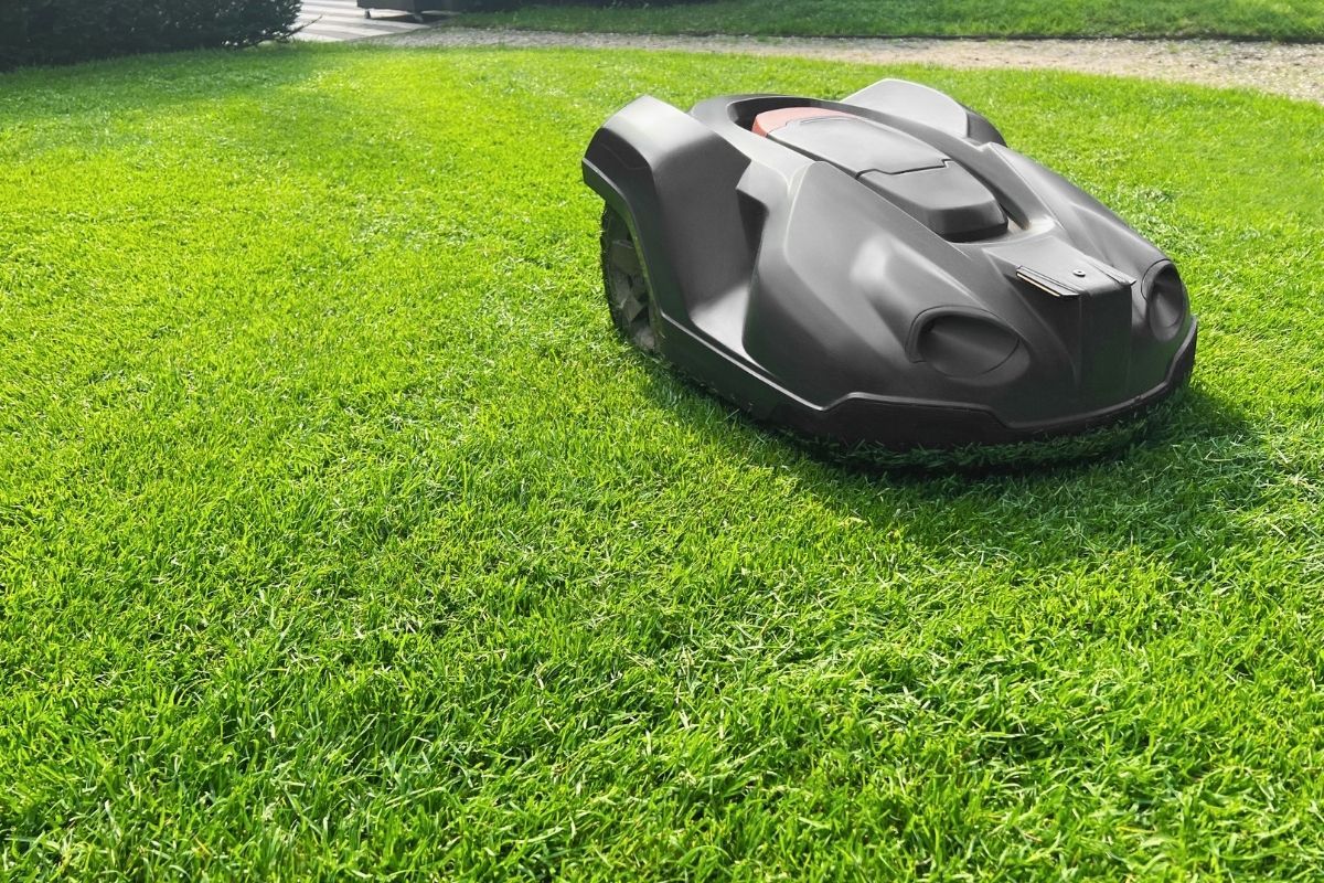 roboty koszące bez przewodu na trawniku automatyczna pielęgnacja trawnika